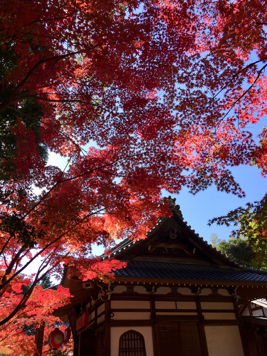 f:id:kazenokomichi:20191208001523j:plain f:id:kazenokomichi:20191208001523j:plain