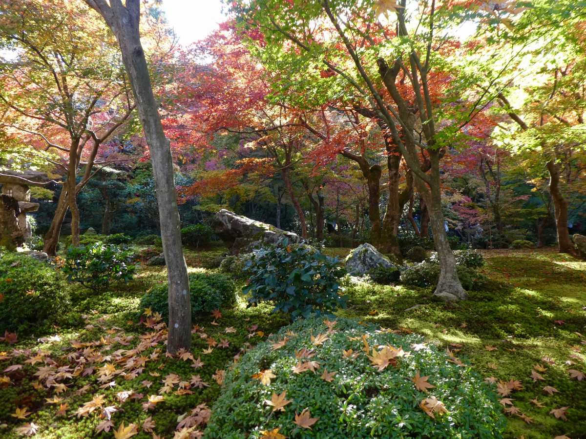 f:id:kazenokomichi:20191208022957j:plain f:id:kazenokomichi:20191208022957j:plain