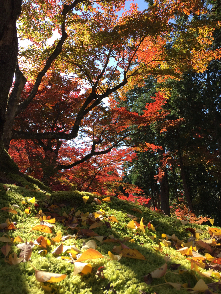 f:id:kazenokomichi:20191208023204j:plain f:id:kazenokomichi:20191208023204j:plain