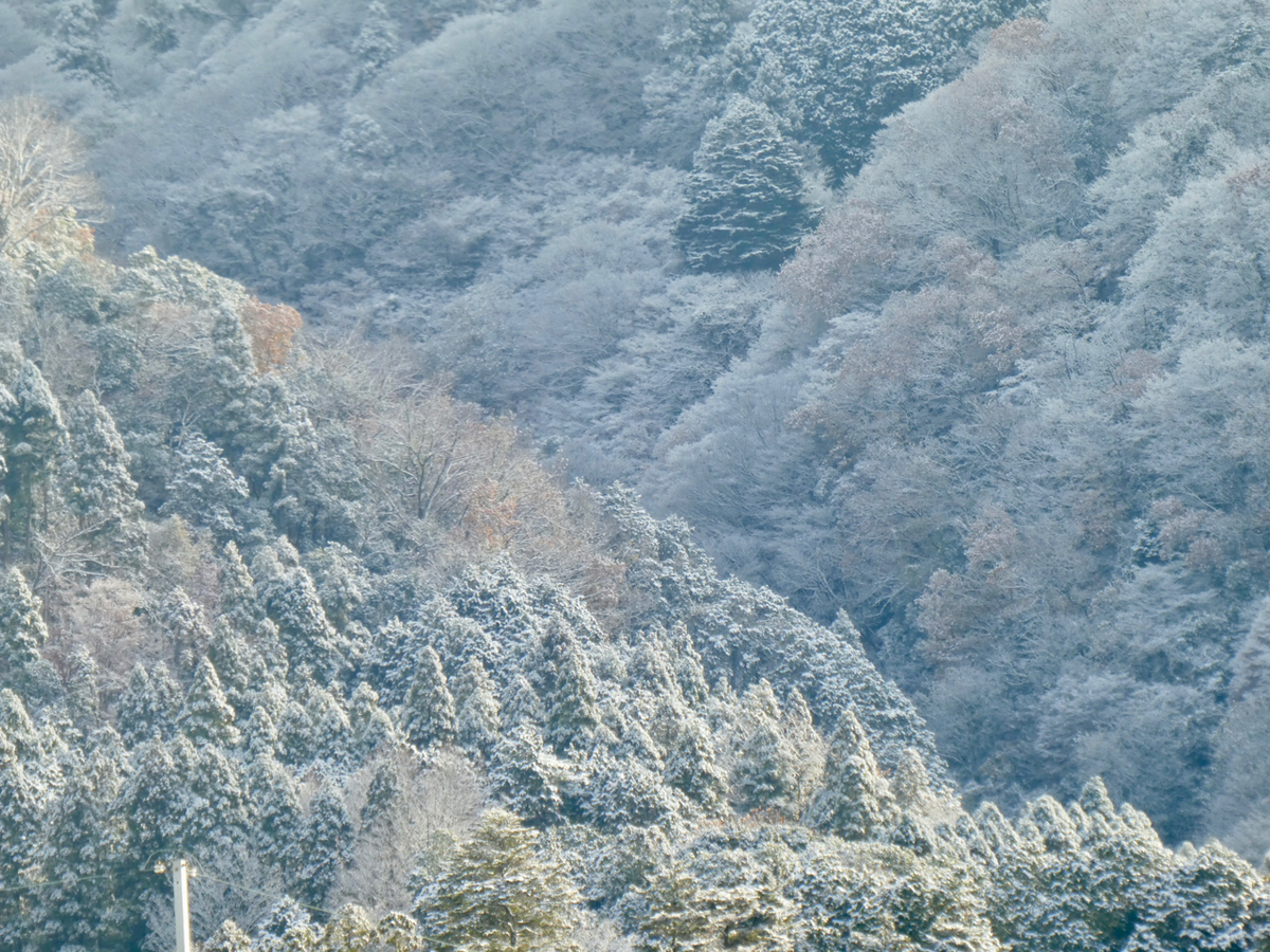 f:id:kazenokomichi:20201218001232j:plain