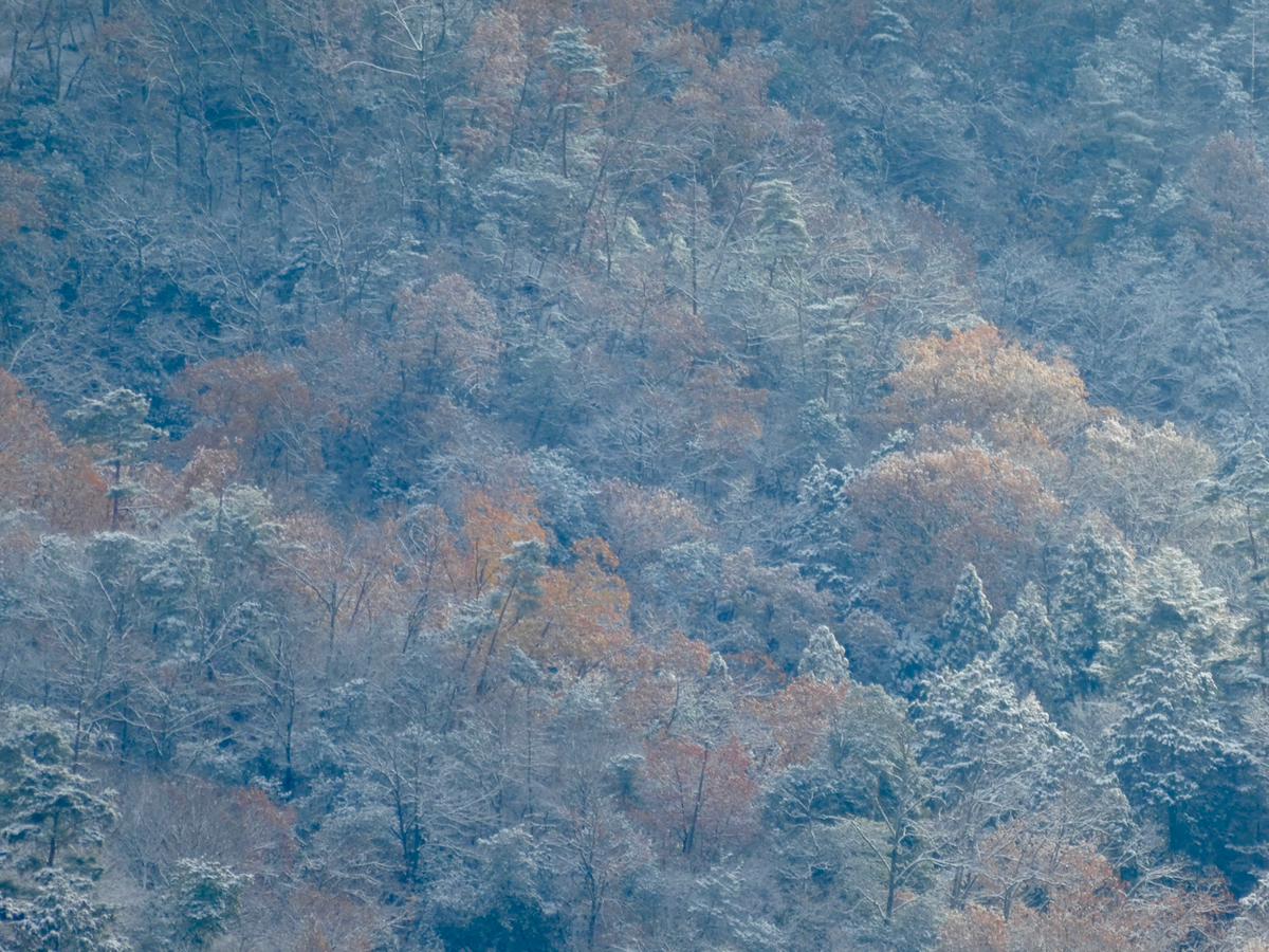 f:id:kazenokomichi:20201218001458j:plain