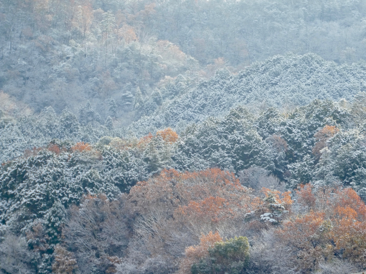 f:id:kazenokomichi:20201218001746j:plain