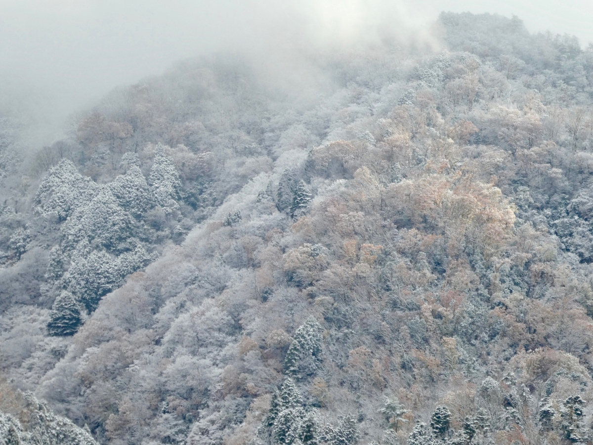 f:id:kazenokomichi:20201218002150j:plain