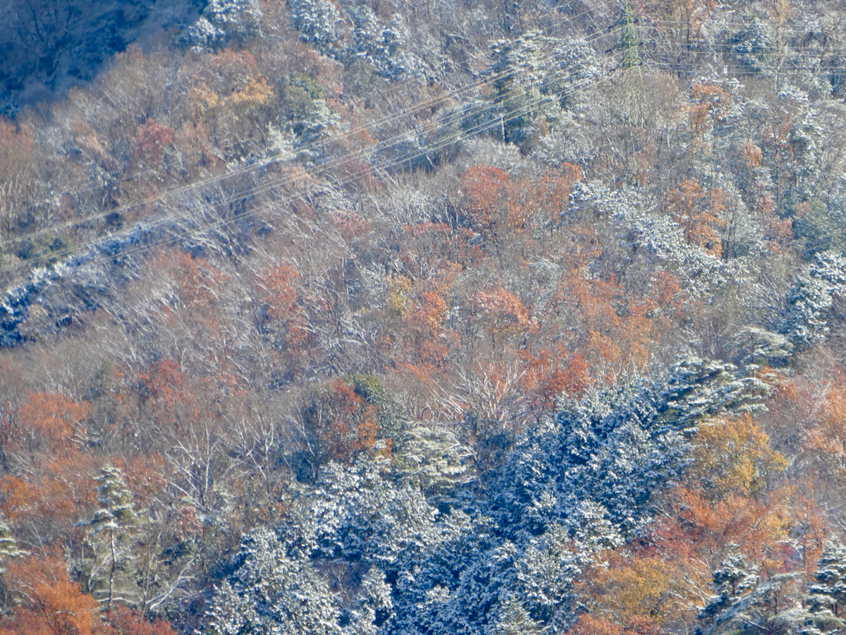 f:id:kazenokomichi:20201218002649j:plain