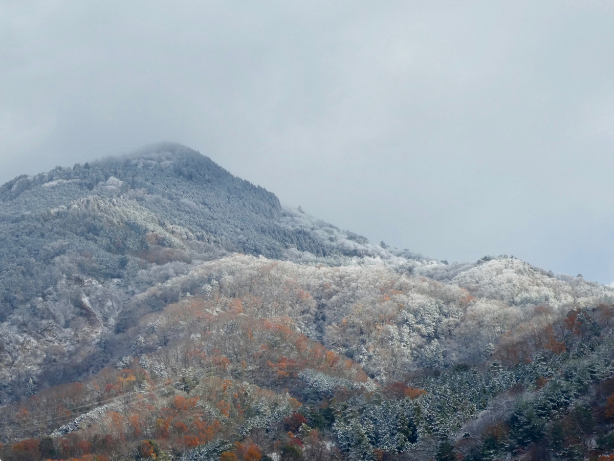 f:id:kazenokomichi:20201218002838j:plain