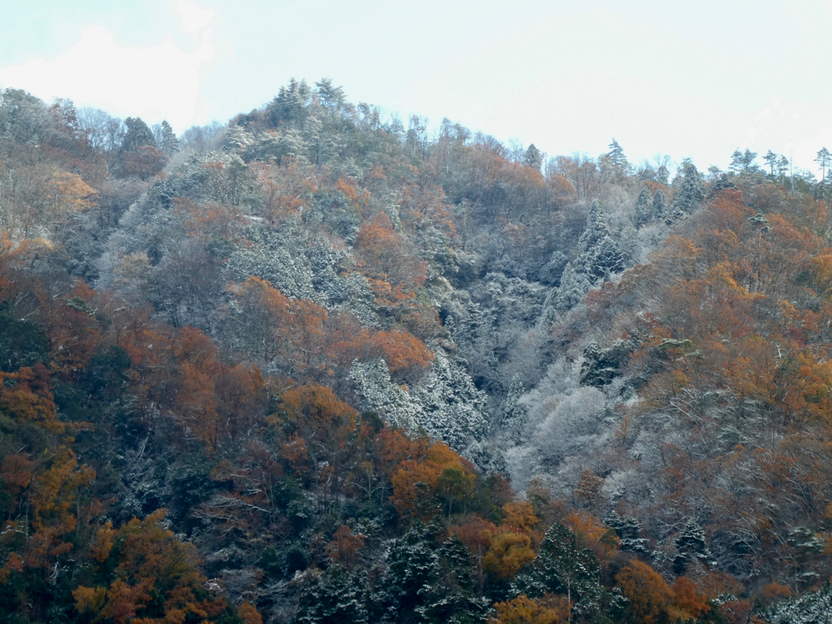 f:id:kazenokomichi:20201218003015j:plain