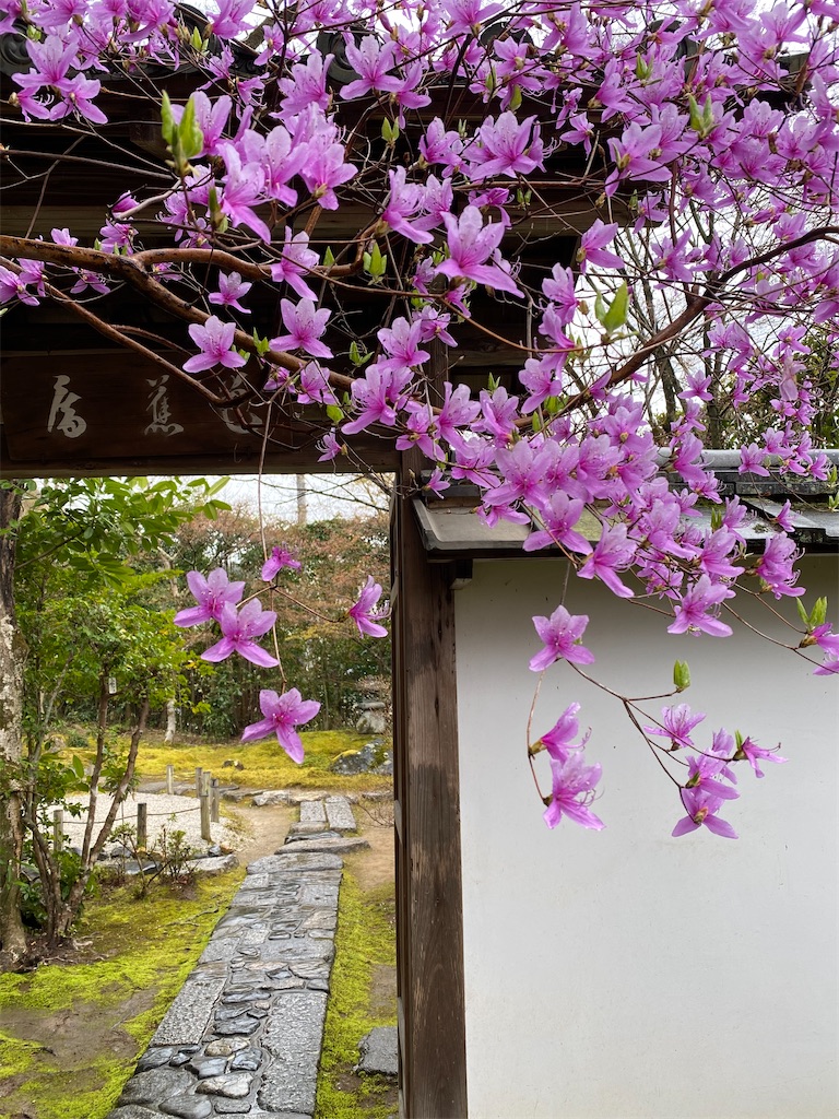 f:id:kazenokomichi:20220607020501j:image