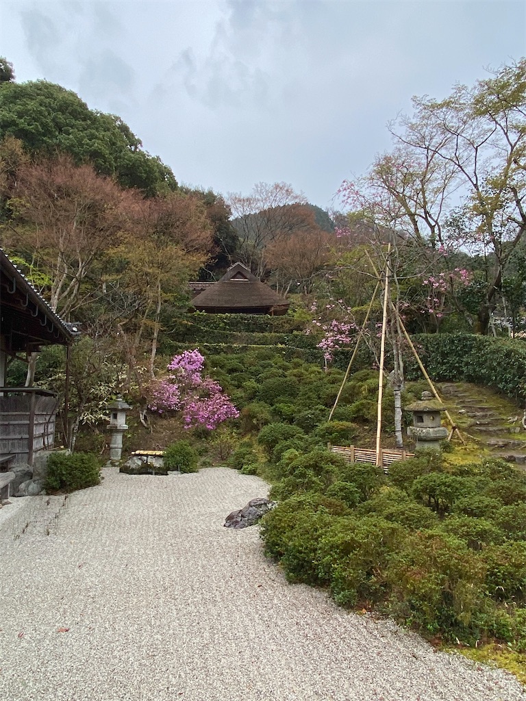 f:id:kazenokomichi:20220607020513j:image