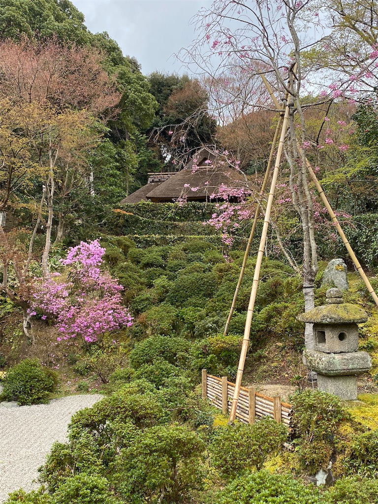 f:id:kazenokomichi:20220607020516j:image