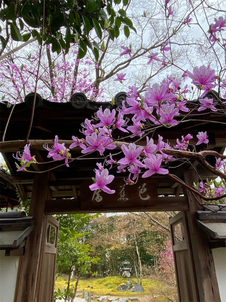 f:id:kazenokomichi:20220607020524j:image