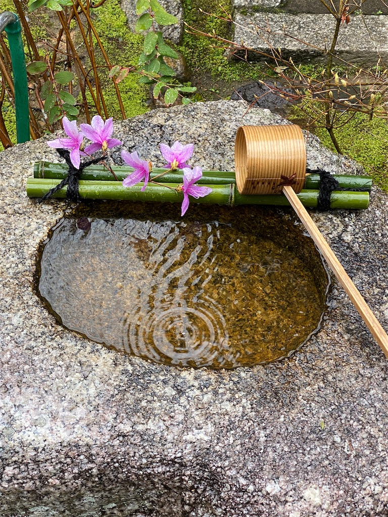 f:id:kazenokomichi:20220607020537j:image