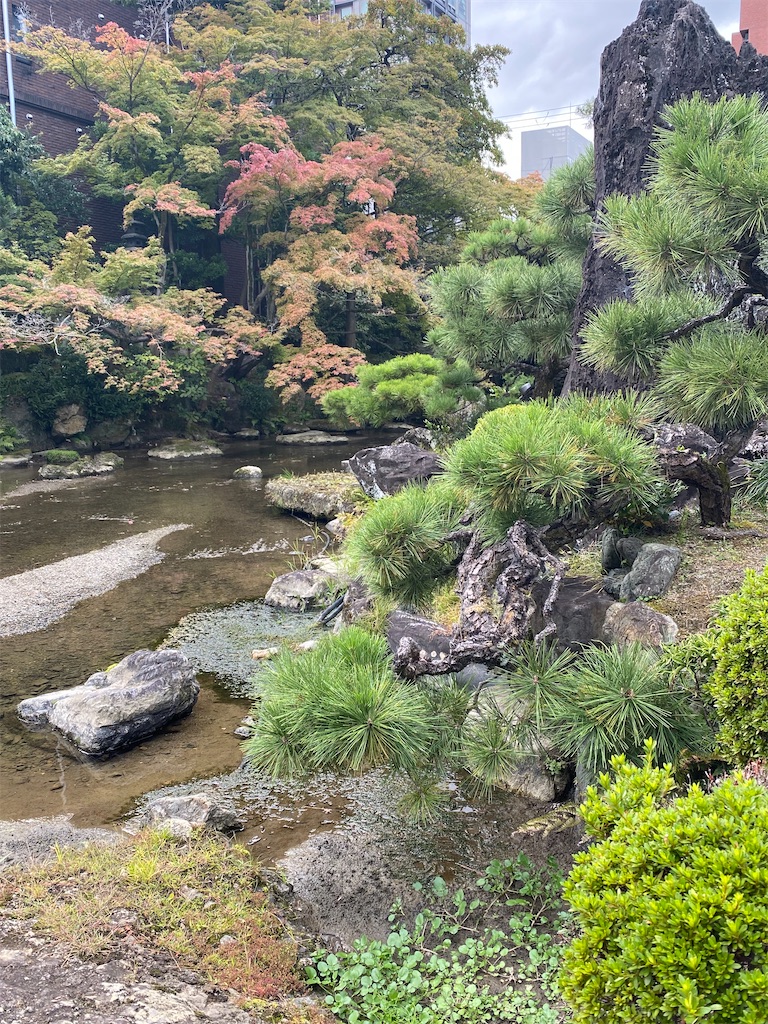f:id:kazenokomichi:20231027145603j:image