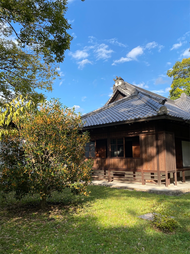 f:id:kazenokomichi:20231101194843j:image