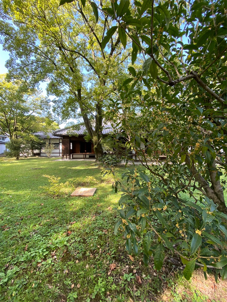 f:id:kazenokomichi:20231101212255j:image