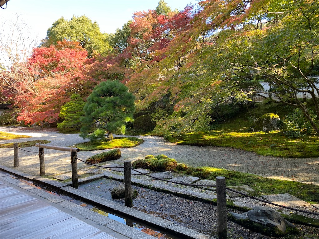 f:id:kazenokomichi:20231118232940j:image