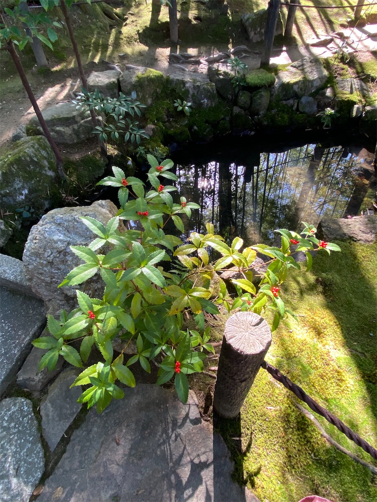 f:id:kazenokomichi:20231118233057j:image