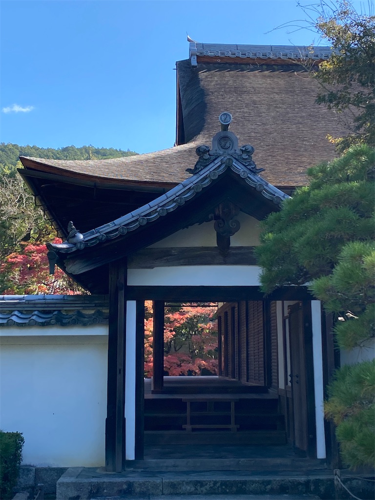 f:id:kazenokomichi:20231118235002j:image