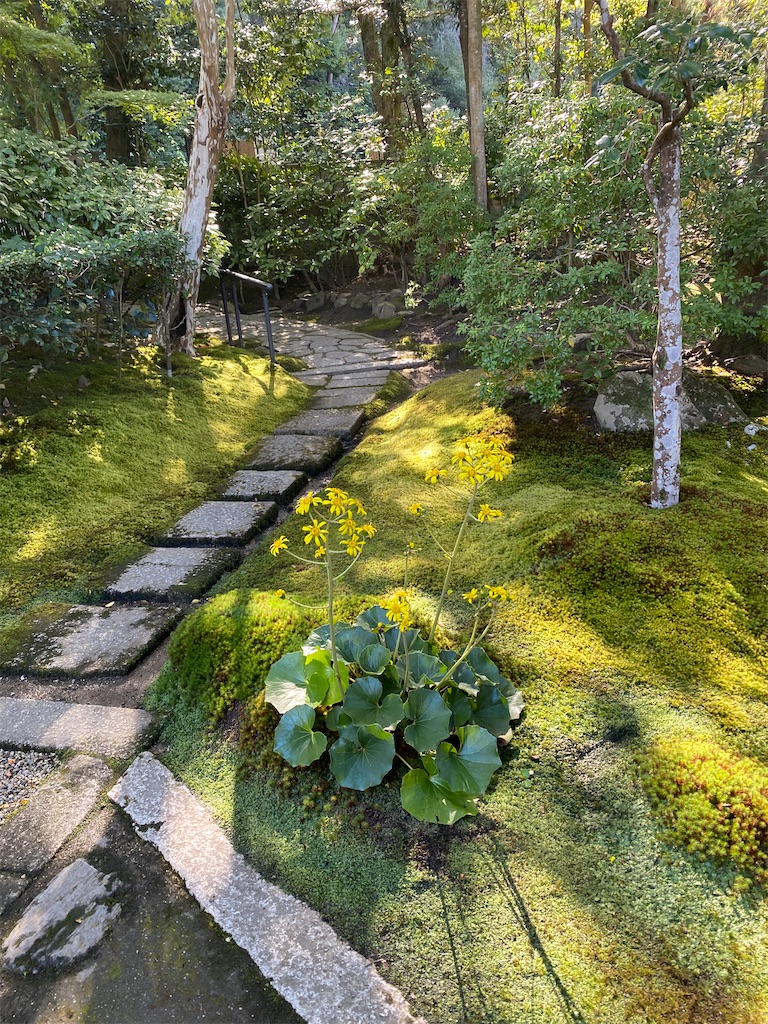 f:id:kazenokomichi:20231118235011j:image