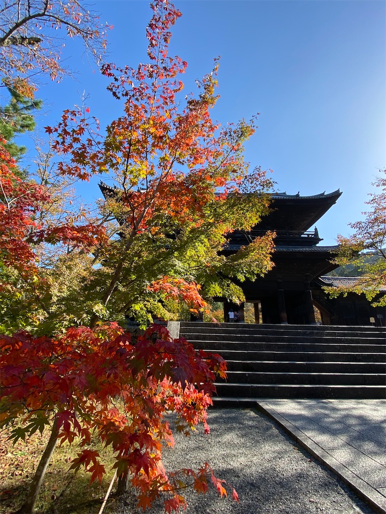 f:id:kazenokomichi:20231118235142j:image