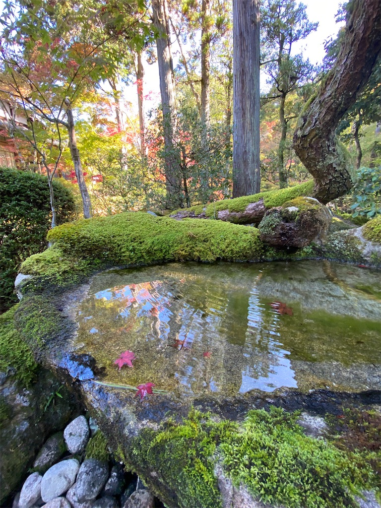 f:id:kazenokomichi:20231118235155j:image