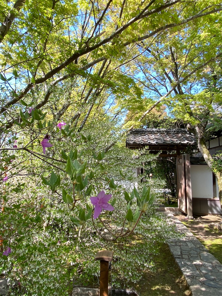 f:id:kazenokomichi:20231227230201j:image