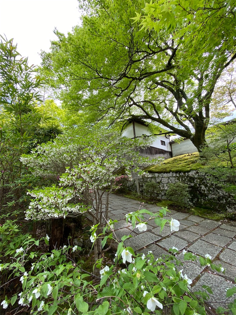 f:id:kazenokomichi:20231227230227j:image