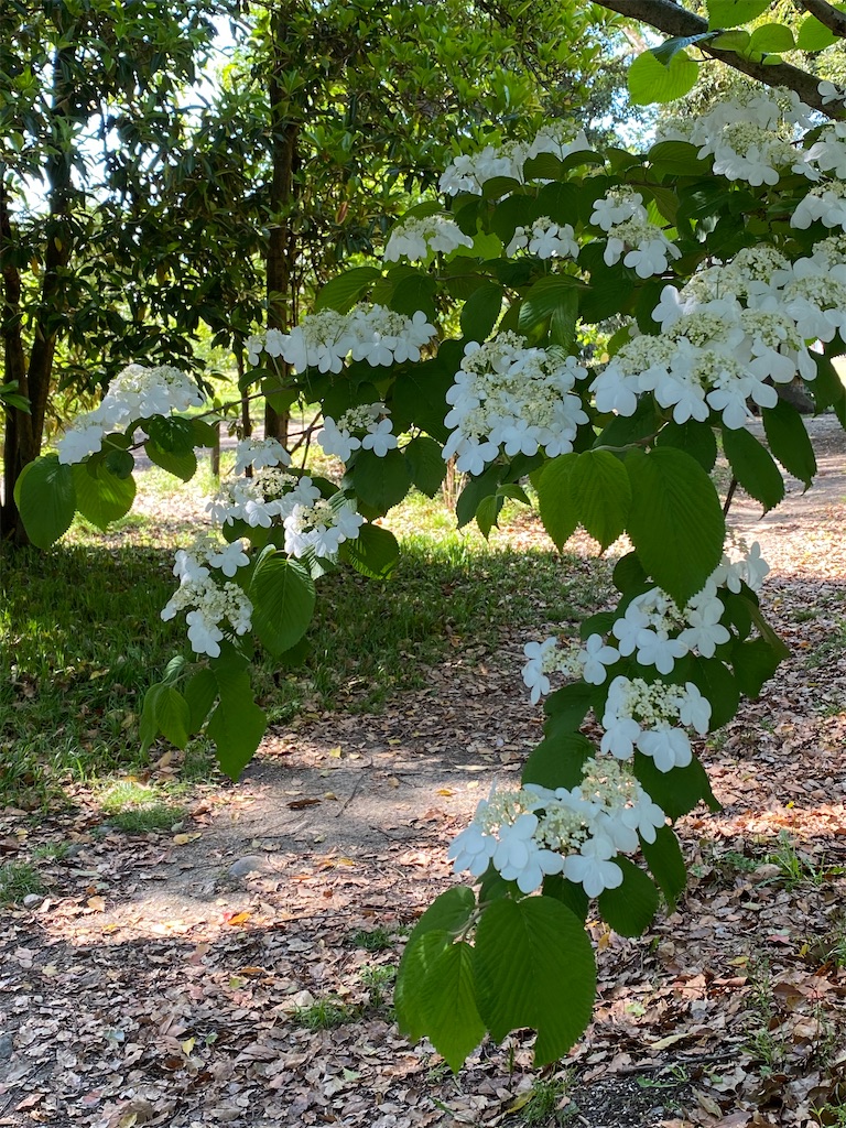 f:id:kazenokomichi:20231227230256j:image