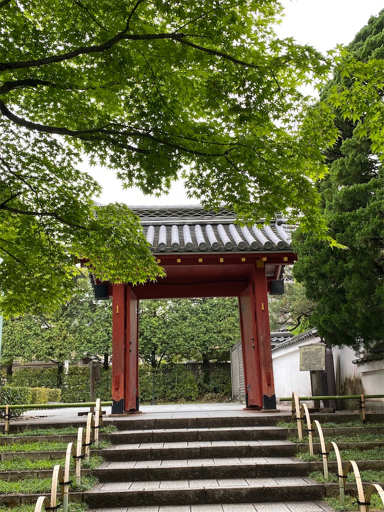 f:id:kazenokomichi:20231228155612j:image