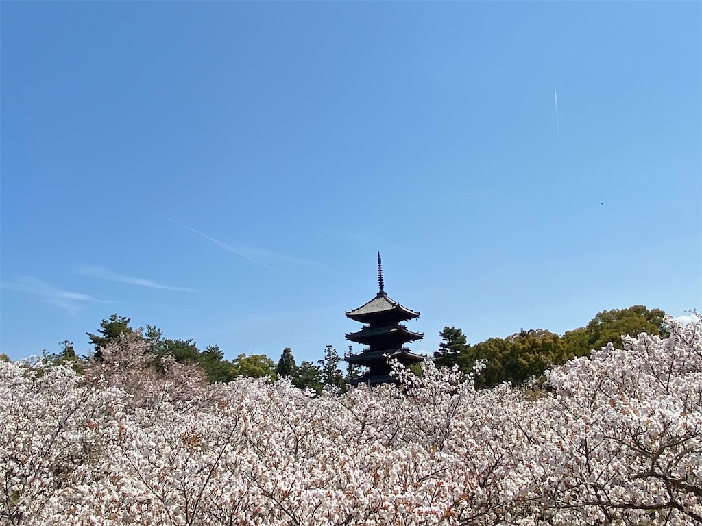 f:id:kazenokomichi:20231231150832j:image