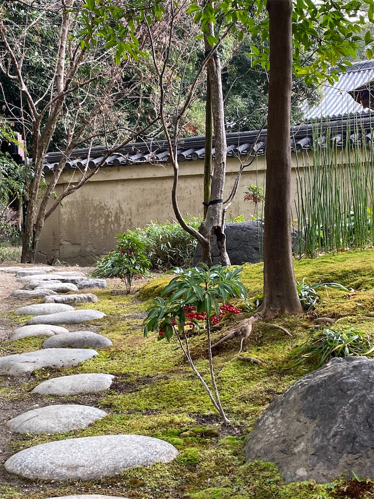 f:id:kazenokomichi:20240106233040j:image