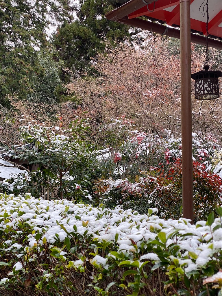 f:id:kazenokomichi:20240108180713j:image