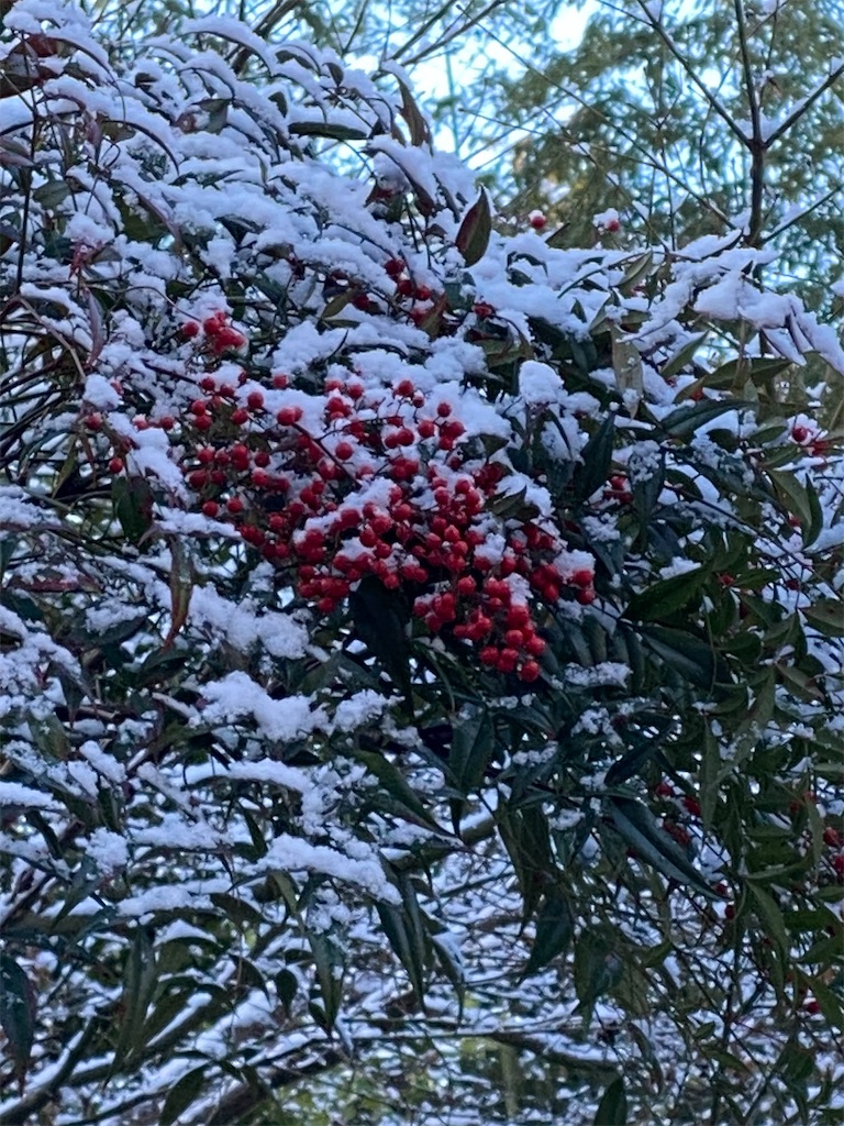 f:id:kazenokomichi:20240116213050j:image