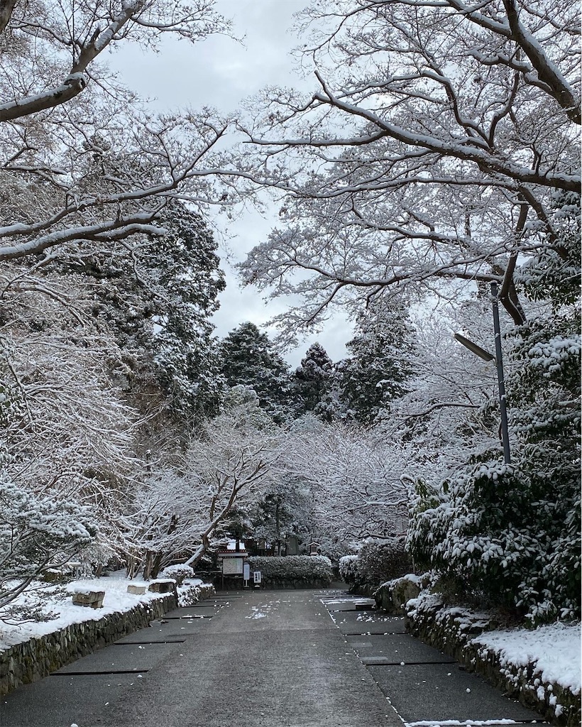 f:id:kazenokomichi:20240126213058j:image