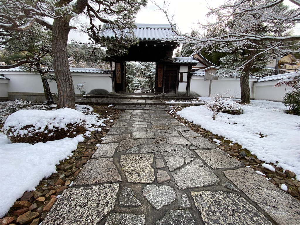 f:id:kazenokomichi:20240210185800j:image