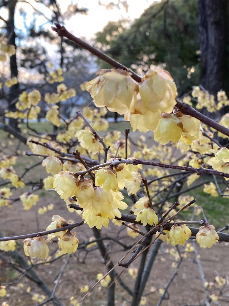 f:id:kazenokomichi:20240219231530j:image