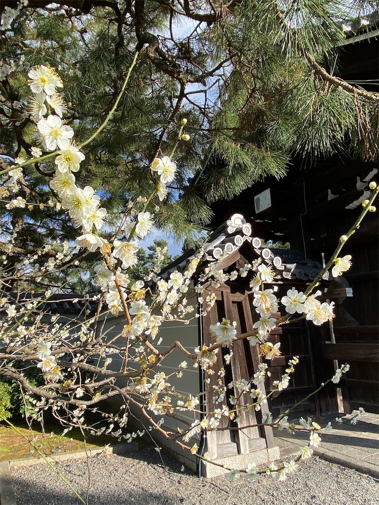 f:id:kazenokomichi:20240219231716j:image