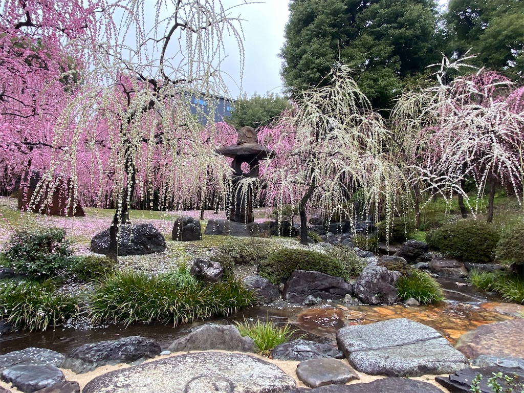 f:id:kazenokomichi:20240226015820j:image