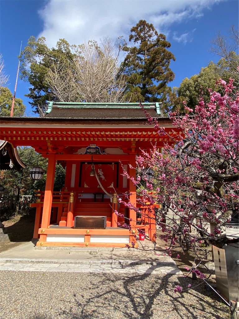 f:id:kazenokomichi:20240316142419j:image