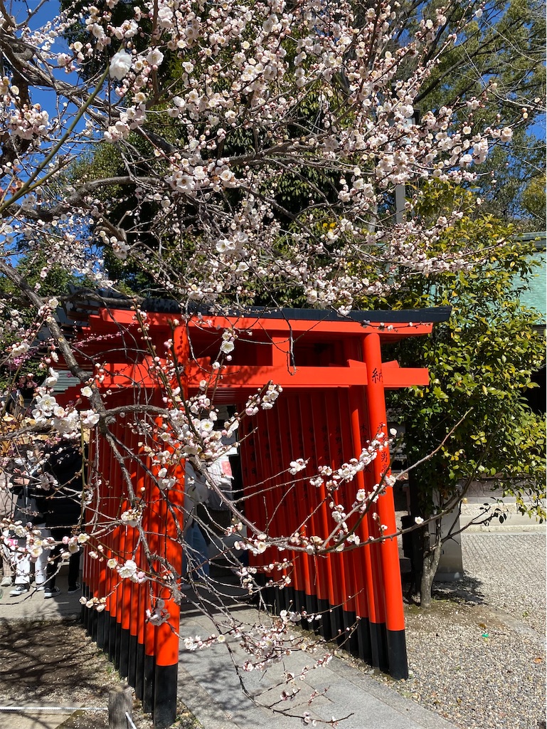 f:id:kazenokomichi:20240316142423j:image