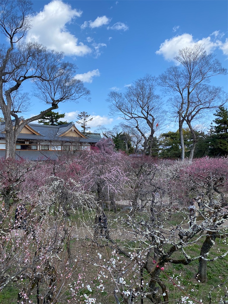 f:id:kazenokomichi:20240316142447j:image