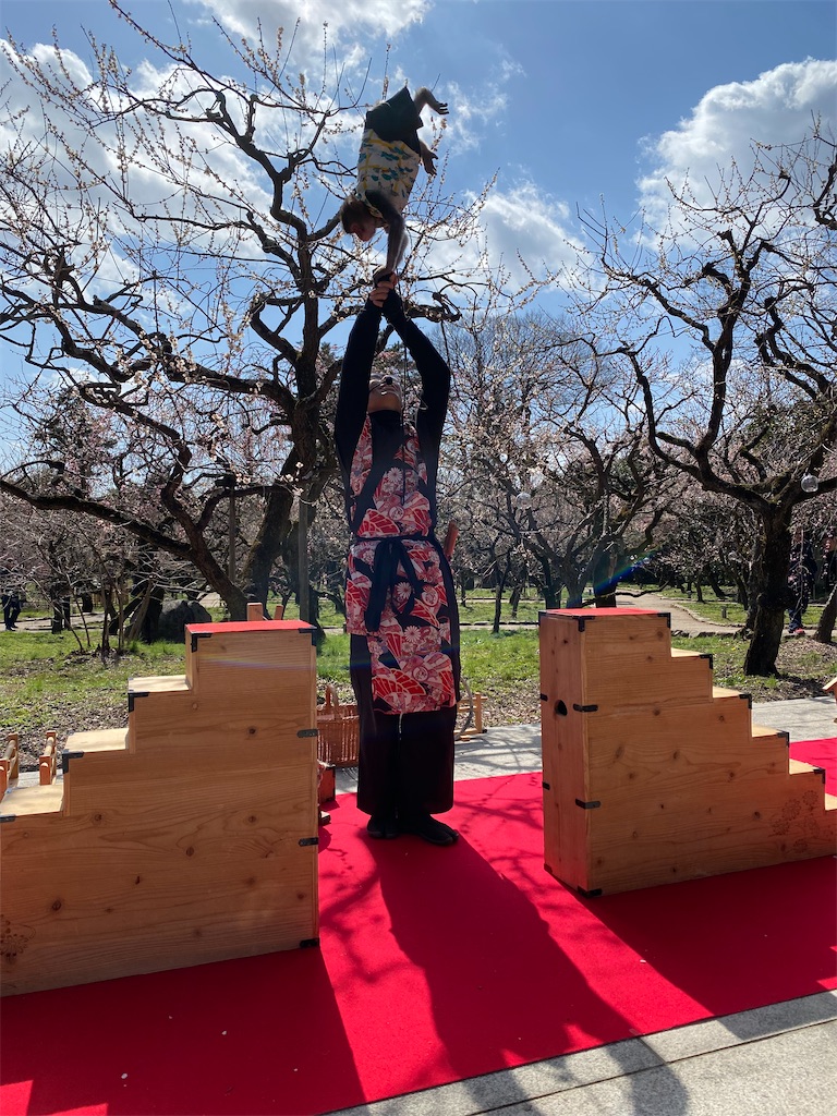 f:id:kazenokomichi:20240316142516j:image