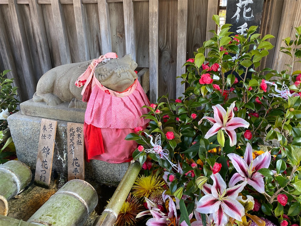 f:id:kazenokomichi:20240316142601j:image