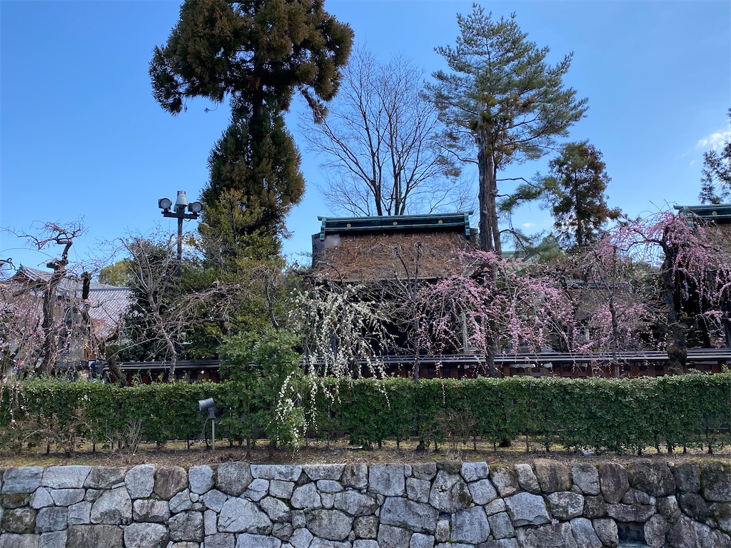 f:id:kazenokomichi:20240316142640j:image