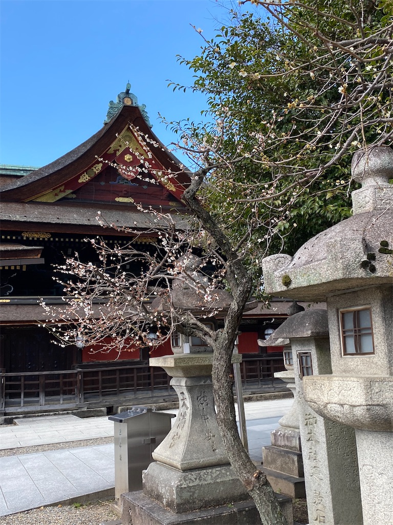 f:id:kazenokomichi:20240316142834j:image