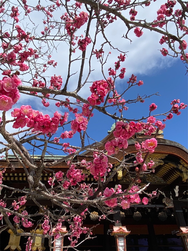 f:id:kazenokomichi:20240316143017j:image