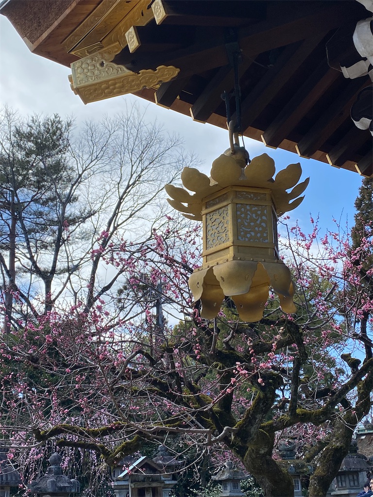 f:id:kazenokomichi:20240316143119j:image