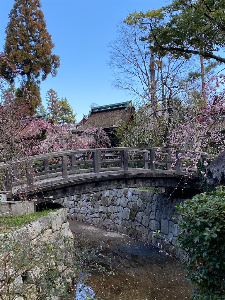 f:id:kazenokomichi:20240316143448j:image