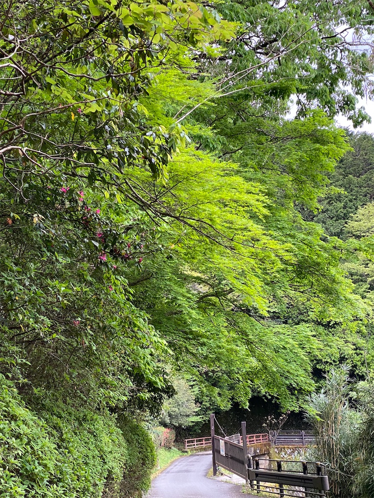 f:id:kazenokomichi:20240423180216j:image