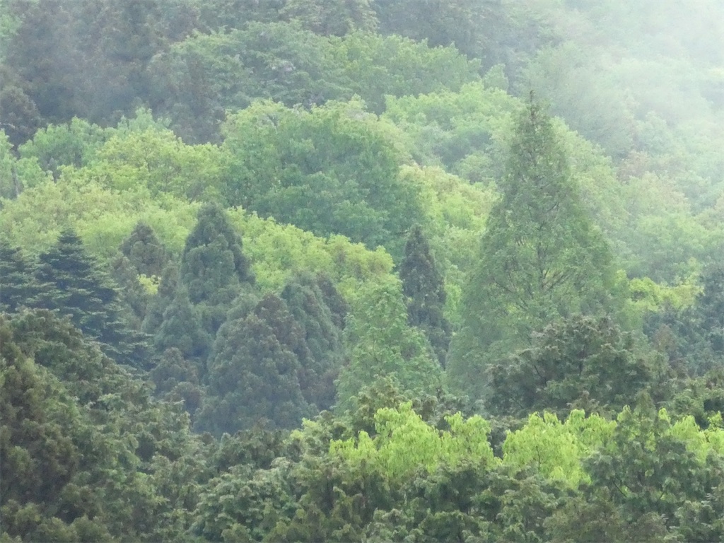 f:id:kazenokomichi:20240423180320j:image