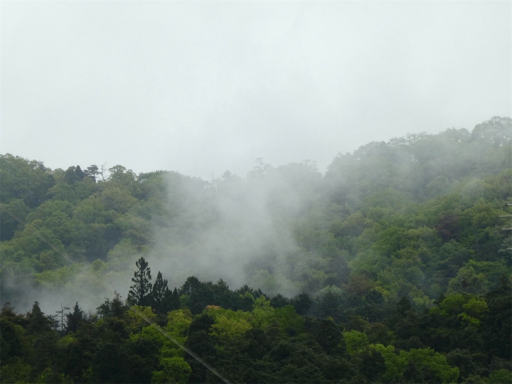 f:id:kazenokomichi:20240423180323j:image